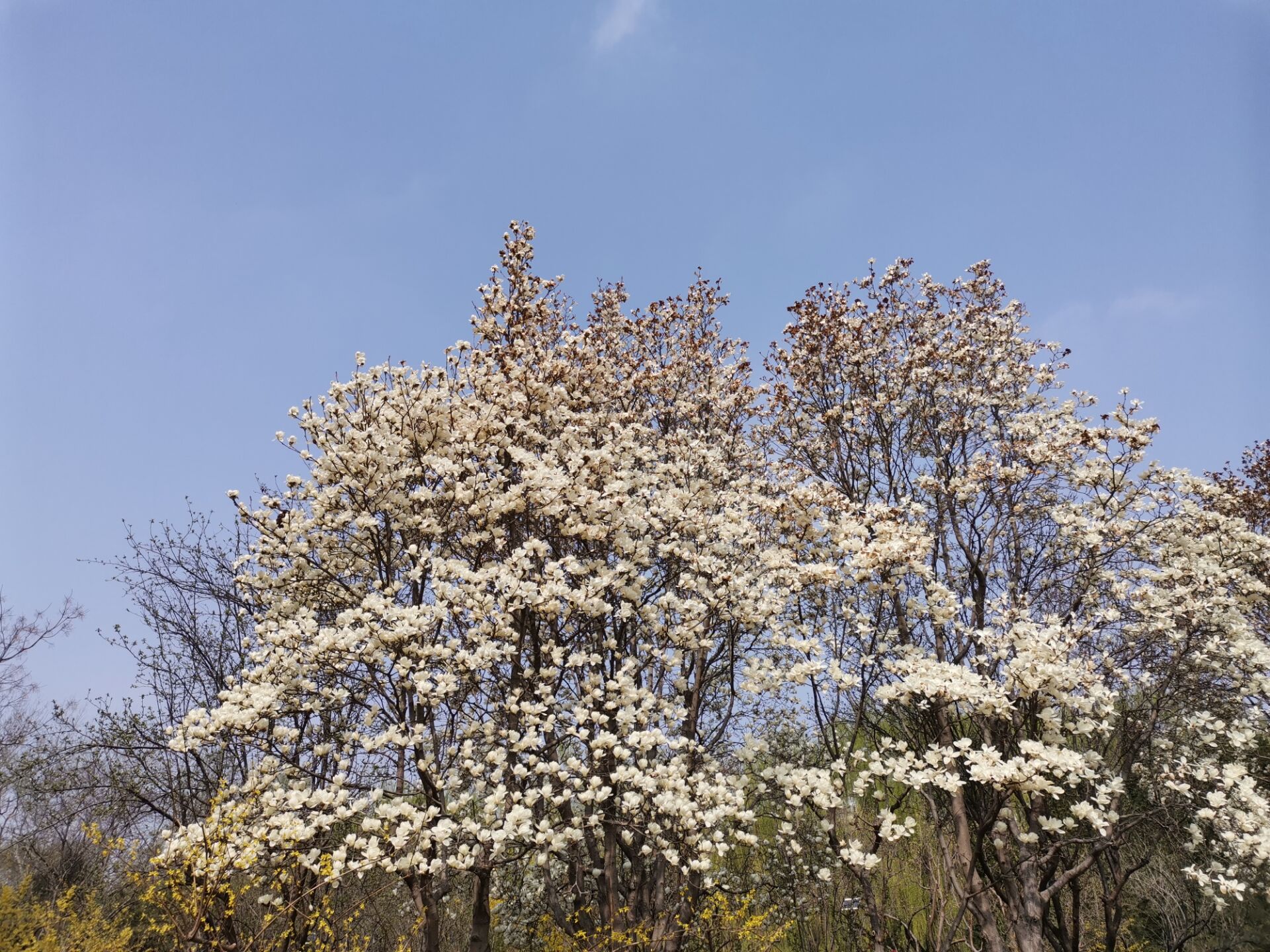 “不忘初心，砥礪前行”-濟(jì)南中創(chuàng)團(tuán)建活動(dòng)圓滿結(jié)束